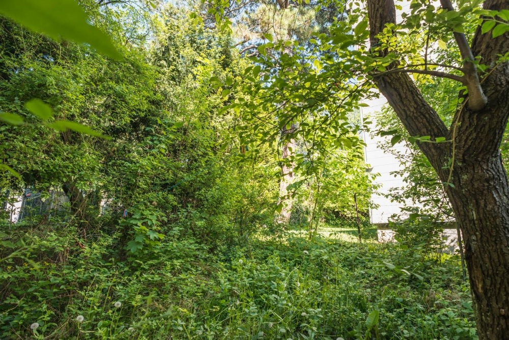 Chillout Lounge Satzberg