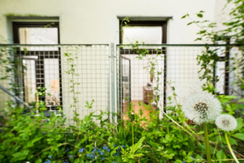 Chillout Lounge Satzberg